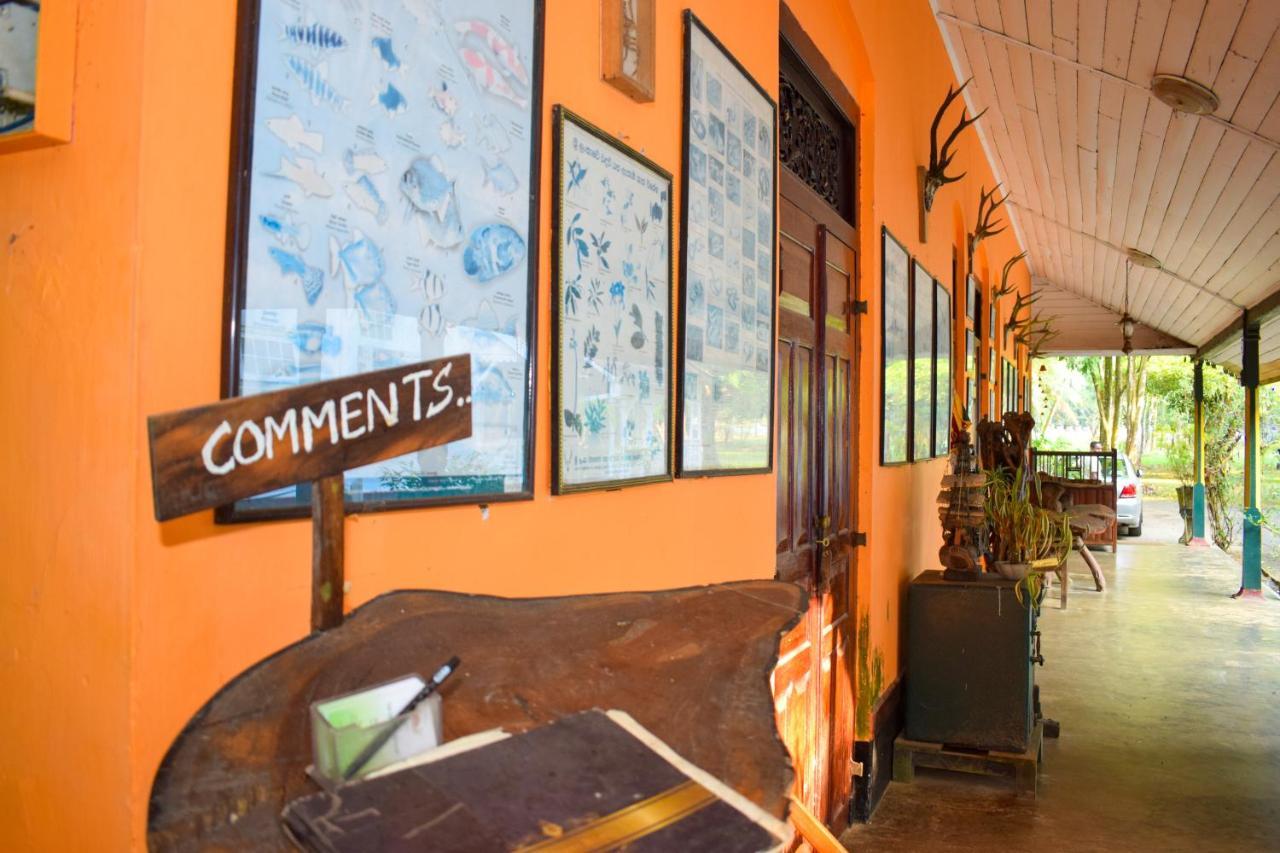 Rafters Retreat Hotel คิตุลกาลา ภายนอก รูปภาพ